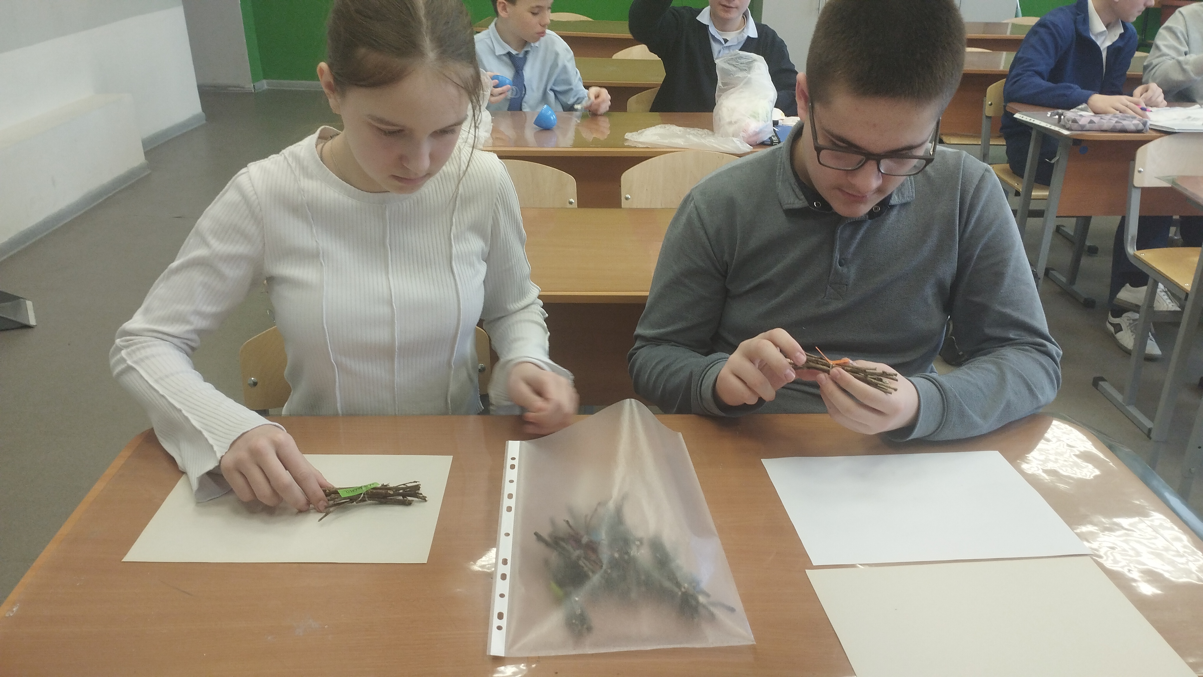Эксперименты и исследования.
