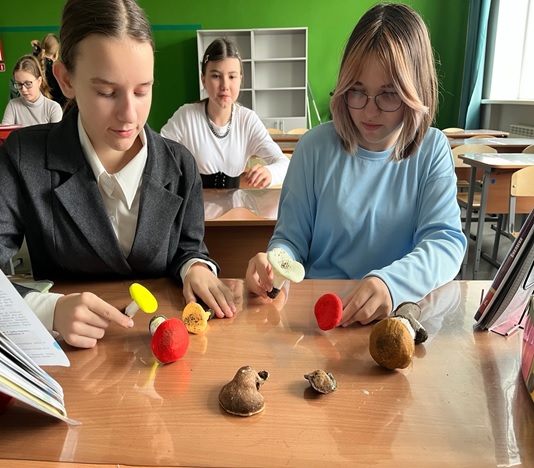 Определение съедобных грибов.